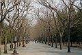 Beijing-396